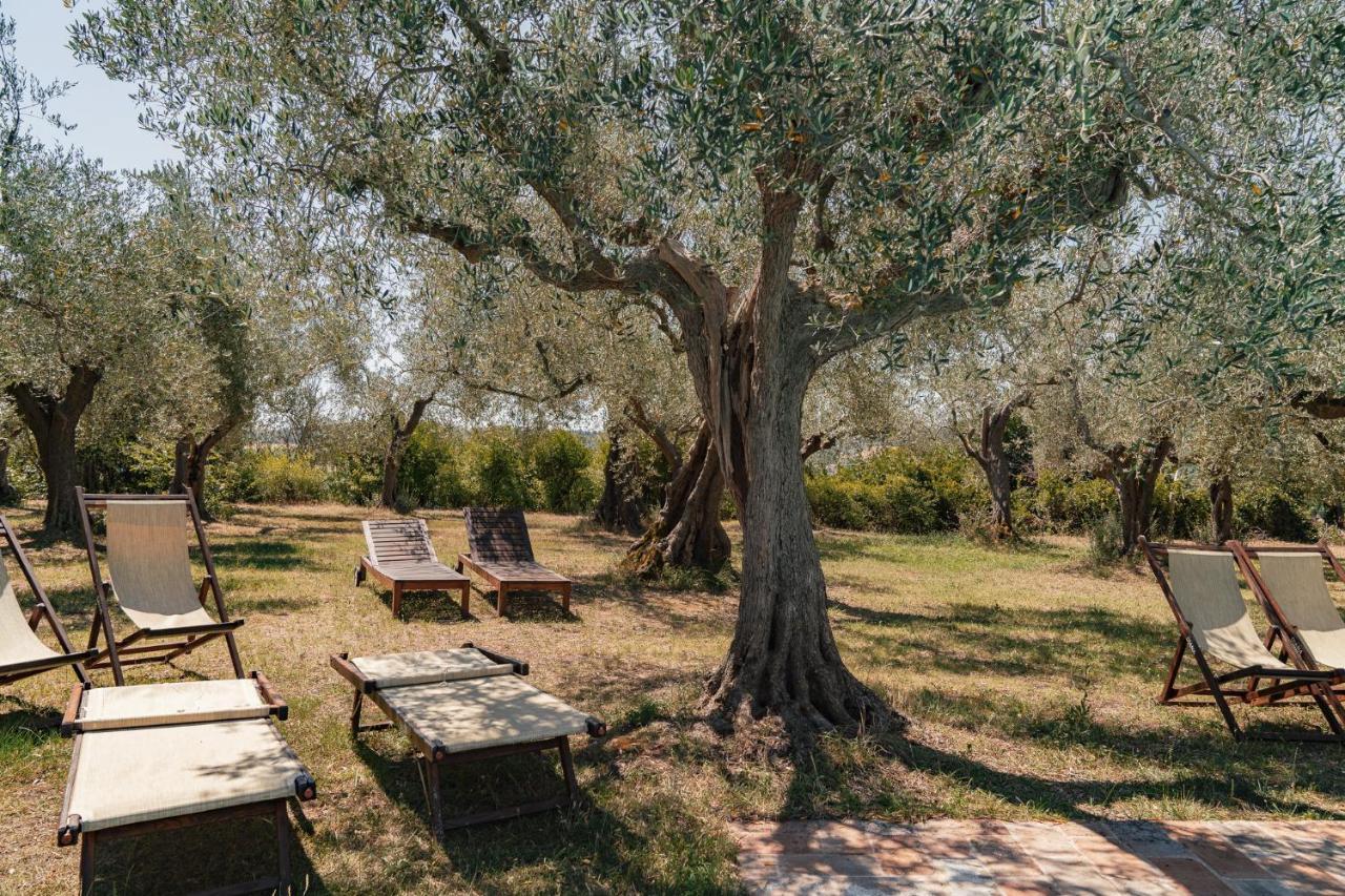 Santa Veneranda Il Pignocco Country House المظهر الخارجي الصورة